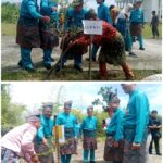Green For Riau, Bupati Rohil Melalui DLH Rohil Terbitkan SE Gerakan Penanaman Pohon Bagi ASN dan PTT