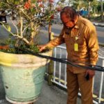 Meriahkan MTQ Ke 20 Tahun 2025, DLH Rohil Lakukan Berbagai Kegiatan, Mulai Pembersihan, Pengecatan Kanstin Hingga Lampu Hias